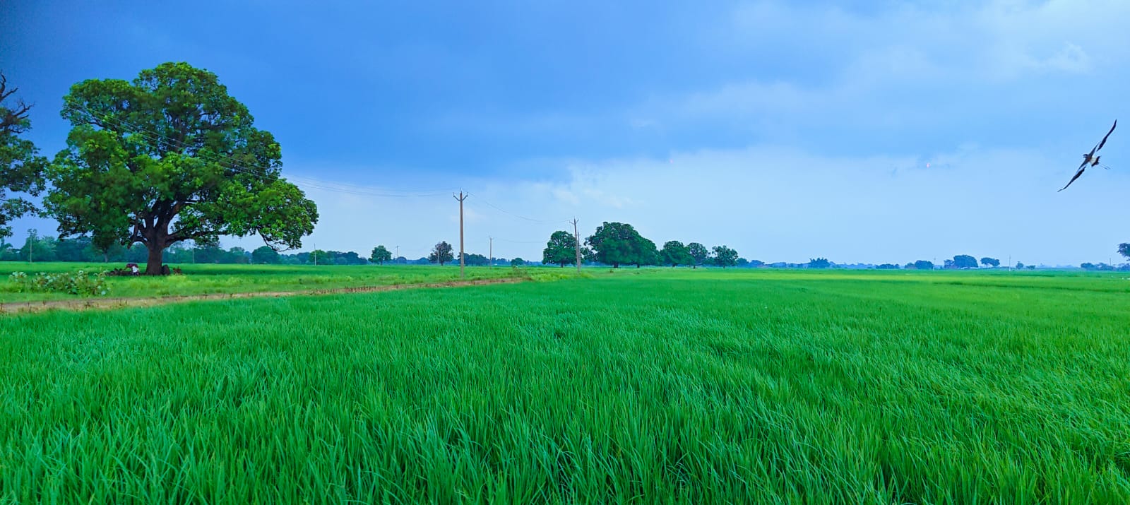 WhatsApp Image 2024-11-21 at 6.30.10 PM (1)