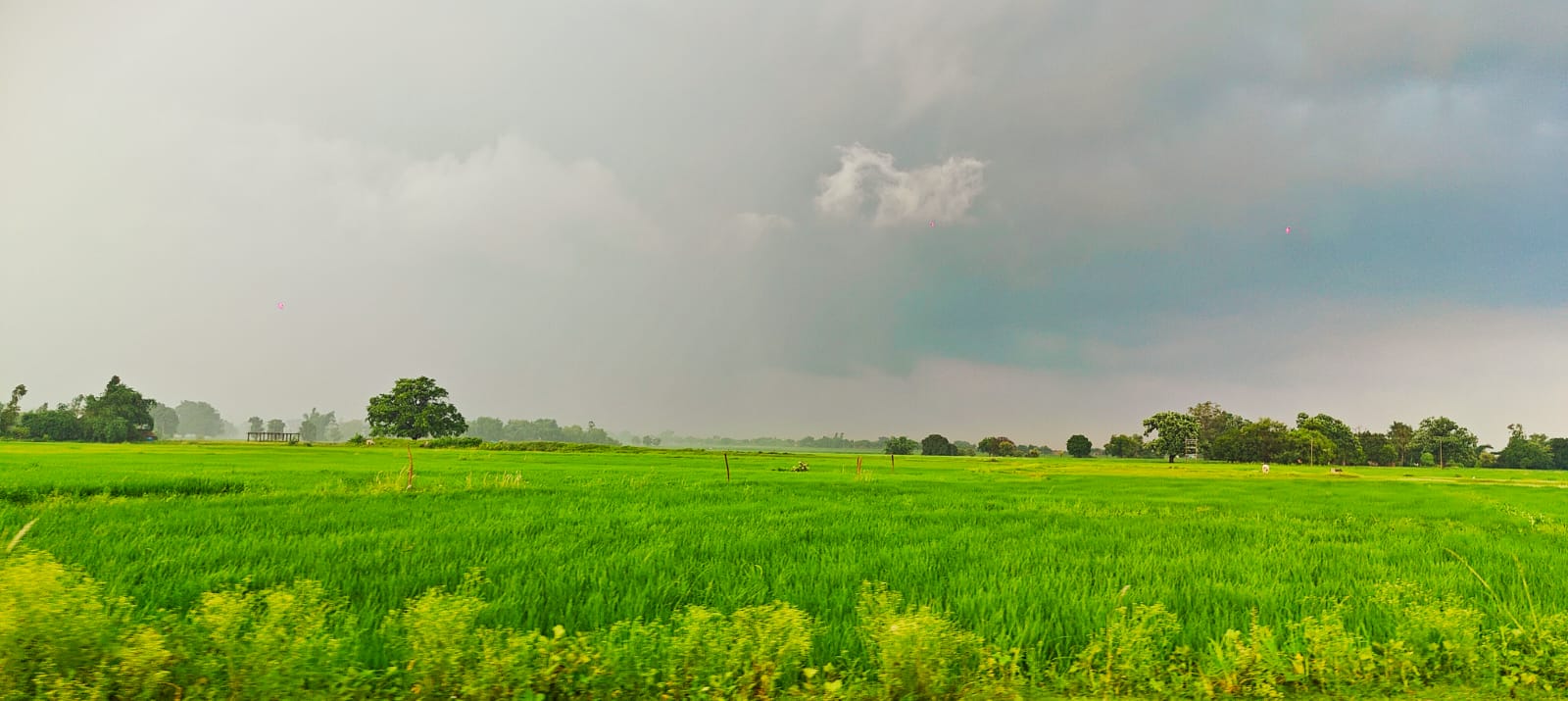 WhatsApp Image 2024-11-21 at 6.30.10 PM (2)