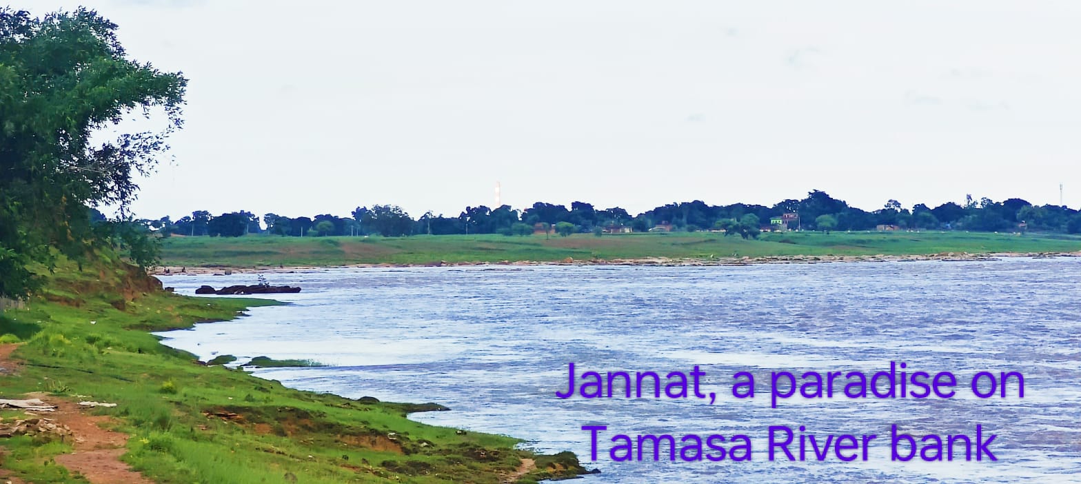 WhatsApp Image 2024-11-21 at 6.30.11 PM (1)