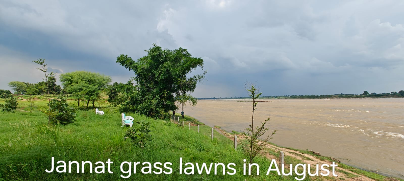 WhatsApp Image 2024-11-21 at 6.30.11 PM