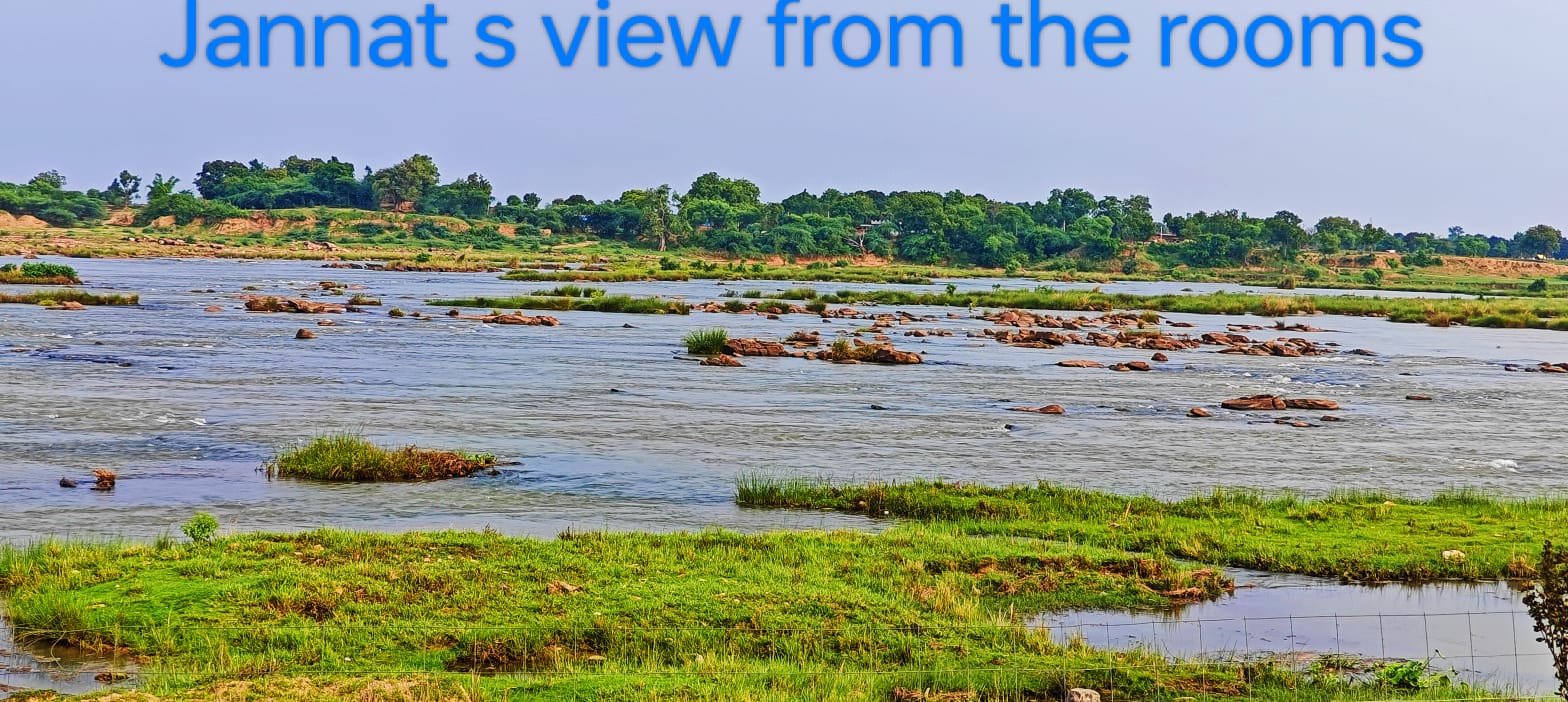 WhatsApp Image 2024-11-21 at 6.30.12 PM (2)